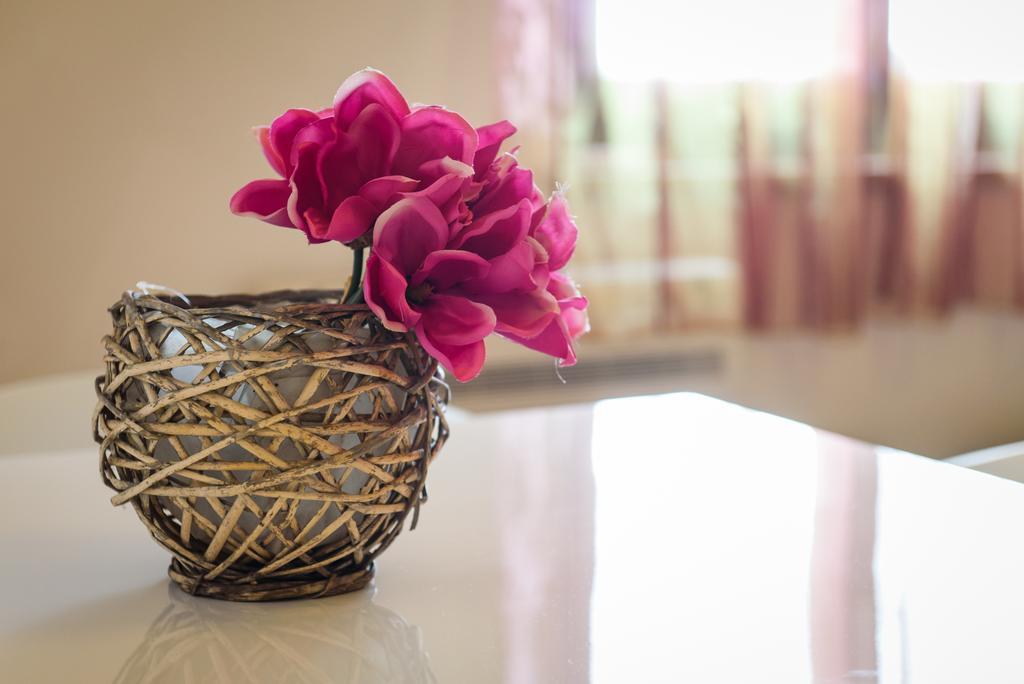Apartments Vacanza 扎达尔 外观 照片